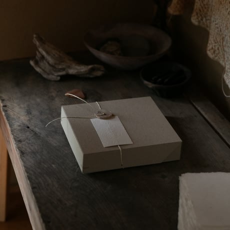 PETALO KIT-01. " Curiosity "