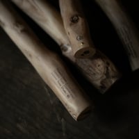 PETALO KIT-01. " Curiosity "