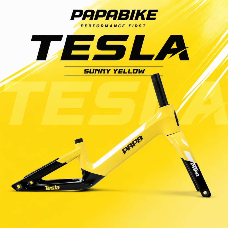 TESLA | PAPABIKE JAPAN