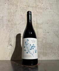 【赤ワイン】タサハラ ピノ ノワール 2023/ヴィノ デル ソル 750ml