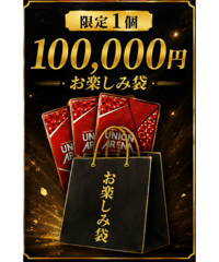 ユニオンアリーナ お楽しみ袋　10万円