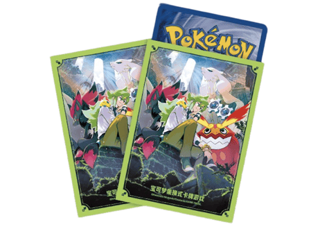 【お一人様各種3個まで】【お取寄せ】N 対戦セット ポケモンカード サプライ 中国限定