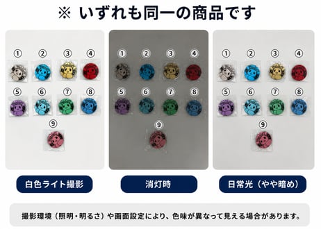 【お取寄せ】太晶盛聚 イーブイズ サンダース コイン ポケモンカード 中国限定