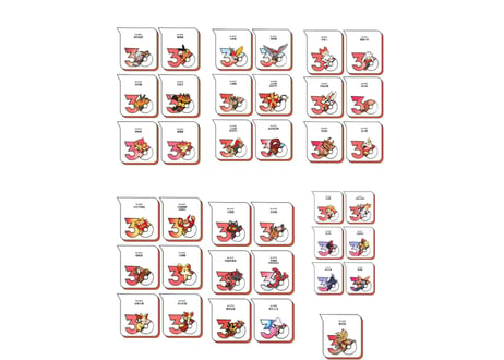 【お一人様各種3個まで】【お取寄せ】ポケモン30周年 マグネット 炎タイプ  中国限定