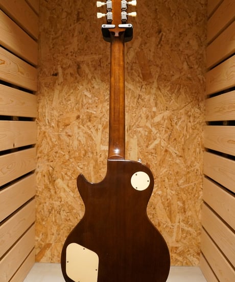 Aria ProⅡ LS-600P