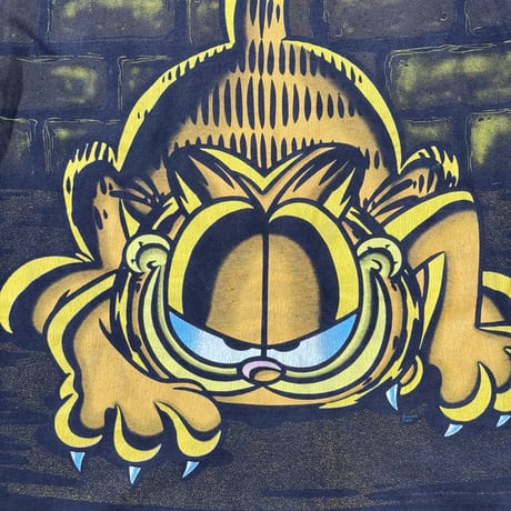 JIM DAVIS ”GARFIELD” SIGNAL LARGE 336