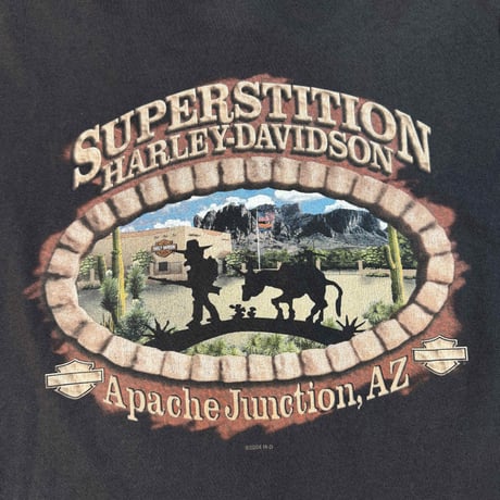 HARLEY DAVIDSON "SPIDER,SUPER STITION" LS HARLEY TAG FITS LIKE XX-LARGE 4153