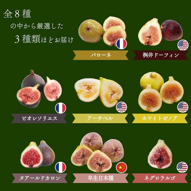 特選・贈答用】採れたて『完熟いちじく』食べ比べセット 1箱入り