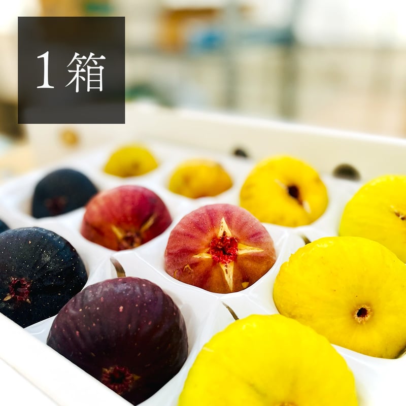 nounouイチジク２種セット 特選・贈答用】採れたて『完熟いちじく』食べ比べセット 1箱入り