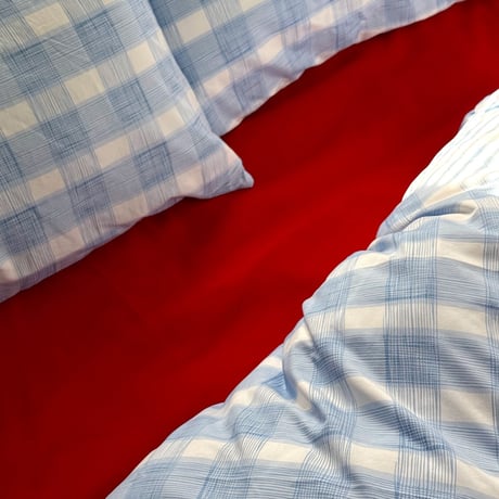 beddingsets-03171　Light Blue × red Gingham Check Duvet Cover Set