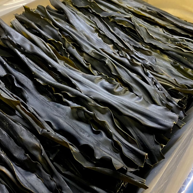 業務用 天然日高昆布 5kg【大容量・プロ御用達・出汁用】 | 様似馳走