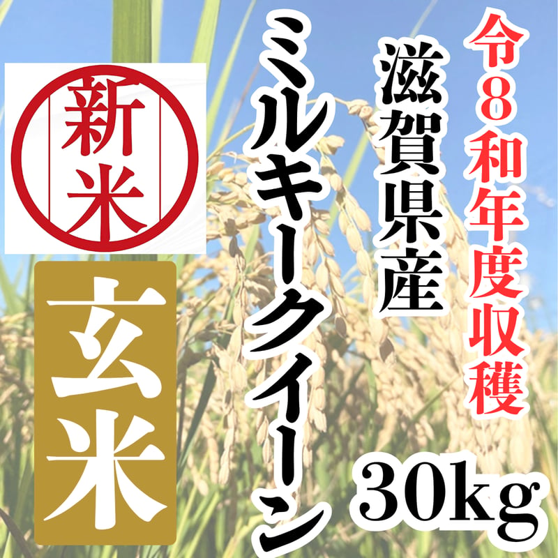 強い甘みが魅力の品種『滋賀県産ミルキークイーン玄米30kg』 | STORE+328