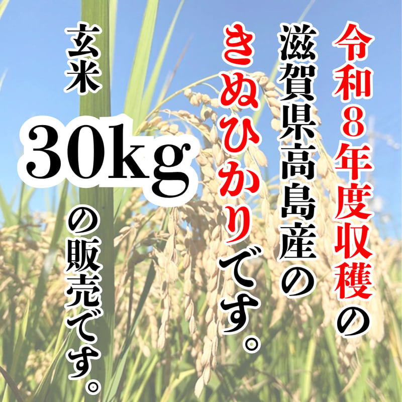 高島の美味しいお米『令和8年度収穫・滋賀県高島産きぬひかり玄米