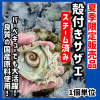 夏季期間限定販売品『殻付きスチームサザエ1個単位』