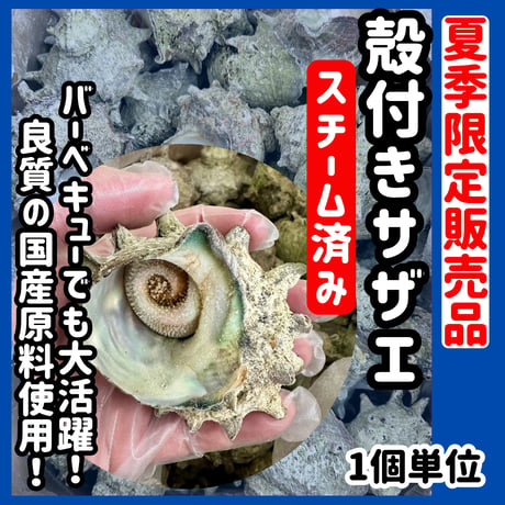 夏季期間限定販売品『殻付きスチームサザエ1個単位』