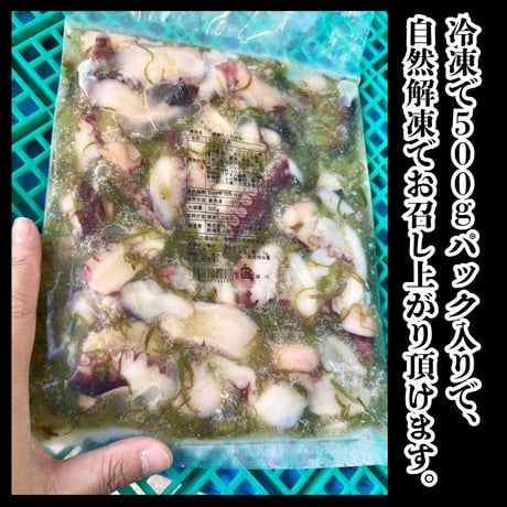 メチャ旨珍味のド定番『海鮮たこわさび500ｇ入り』