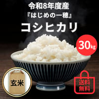 ★早割8/10まで★【玄米・30㎏】コシヒカリ