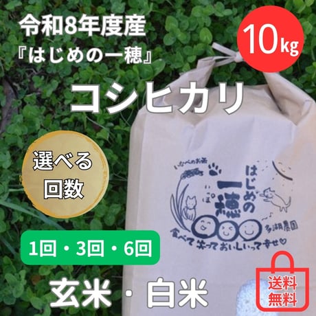 【新米10㎏ 】コシヒカリ（１回～12回）★送料無料