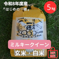 【白米５㎏ 】ミルキークイーン（１回～12回）★送料無料