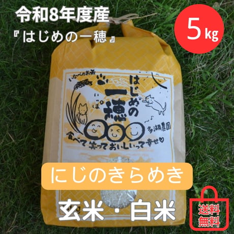 【白米５㎏ 】にじのきらめき（１回～12回）★送料無料