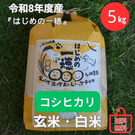 【白米５㎏ 】コシヒカリ（１回～12回）★送料無料