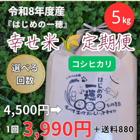 【白米５㎏ 】コシヒカリ