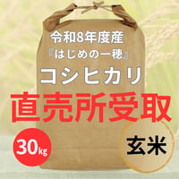 ★早割8/10まで★直売所受取【玄米・30㎏】コシヒカリ