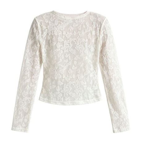 embroidered sheer top　NK2615