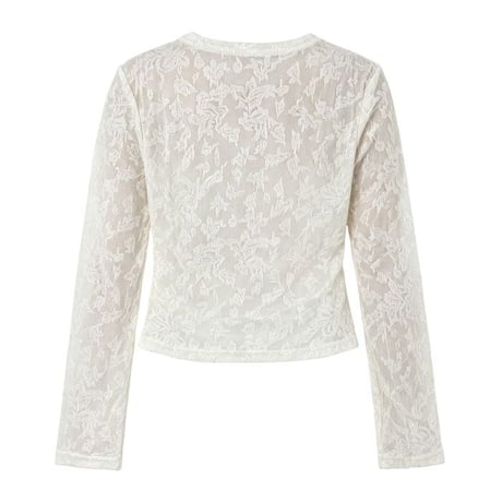 embroidered sheer top　NK2615