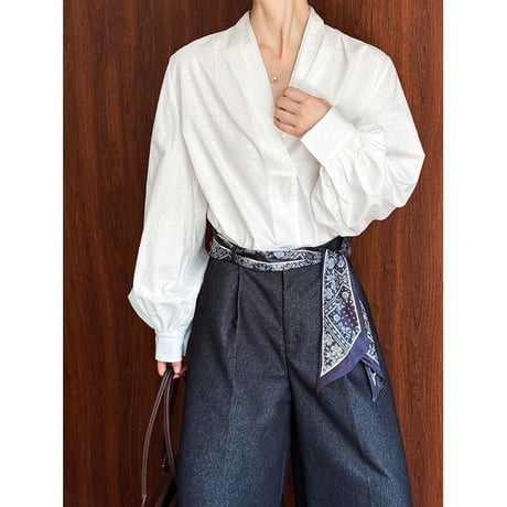 baloon sleeve v-neck blouse　NK2624