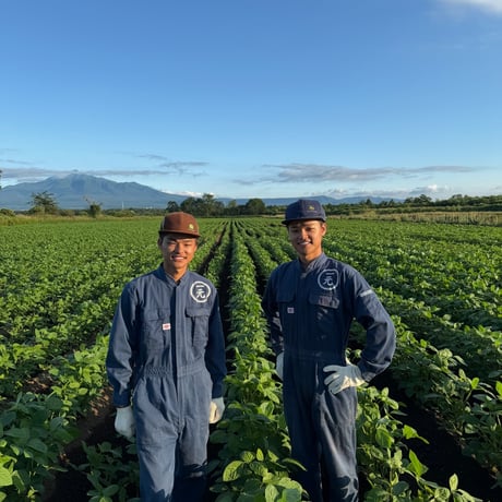 自然栽培野菜セット【数量限定】