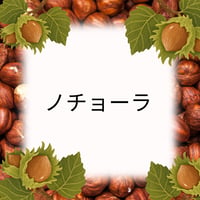 ノチョーラ