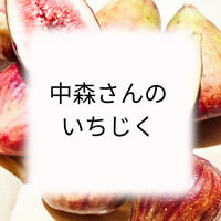 中森さんのいちじく
