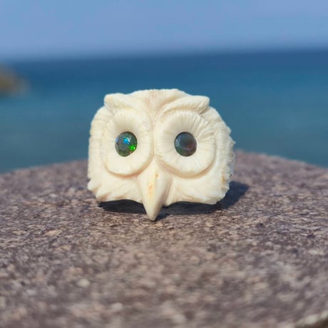 鹿の角 | STORES