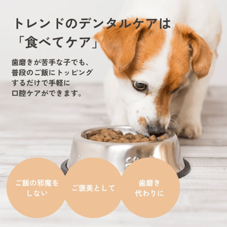 食べるデンタルケア QCHEFS！Dental Charcoal for dogs （デンタルチャコール）