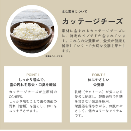 食べるデンタルケア QCHEFS！ Cheesies （チージーズ）