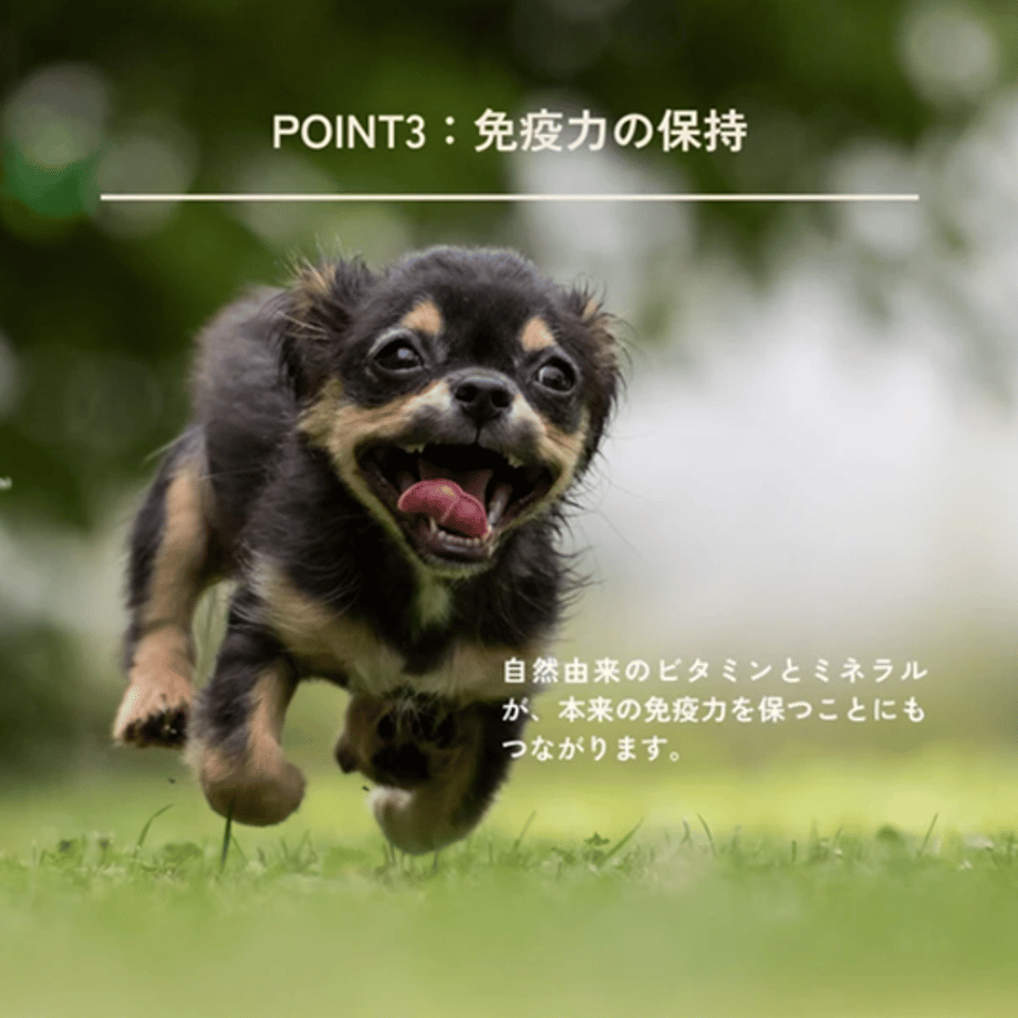 6a745063191eb738bd48e021