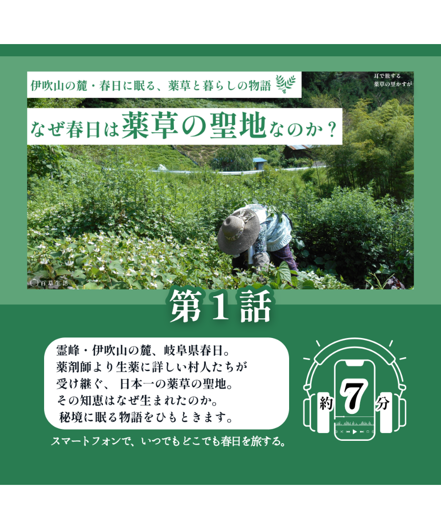 春日 どこ