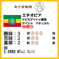 エチオピア　ケビルゲイシャ農園　ゲイシャ　ナチュラル　中煎り　ポスト便