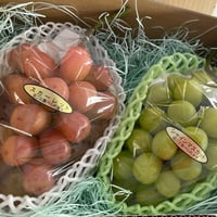 シャインマスカット　スカーレット２品種食べ比べ【宅配便】