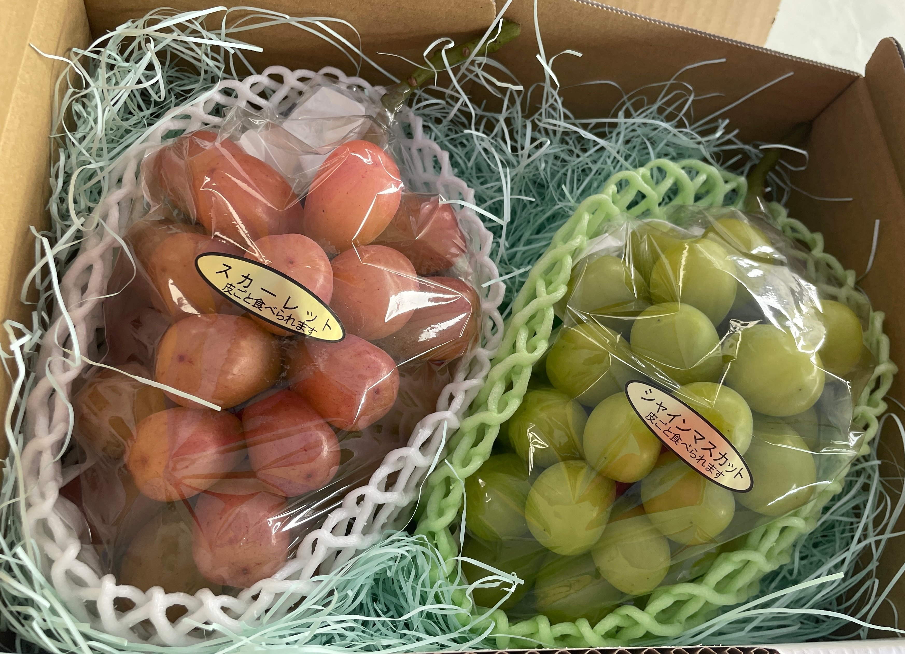 シャインマスカット スカーレット2品種食べ比べ【宅配便】 | さと果