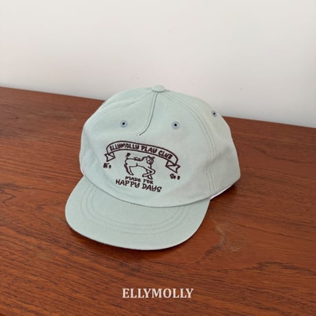 horse cap
