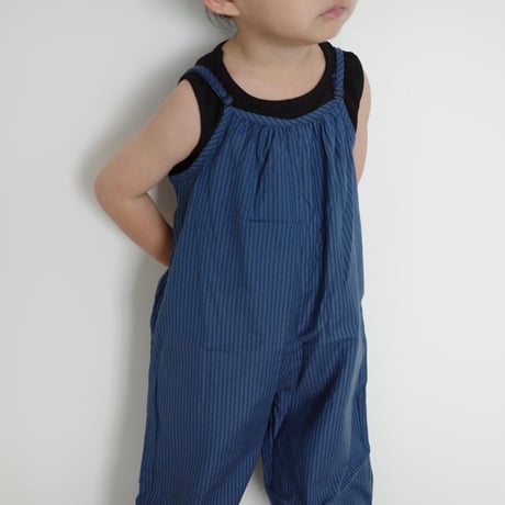 stripe allinone