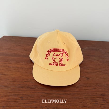 horse cap