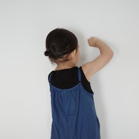 stripe allinone