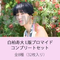 白柏寿大ブロマイド コンプリートセット-L32