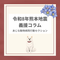 令和8年熊本地震義援コラム｜犬の地震対策｜愛犬を守る首輪と災害への備え