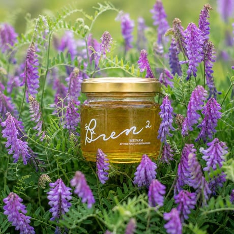 信州産 初夏の百花蜜 200g （ﾍｱﾘｰﾍﾞｯﾁ）【天然・非加熱・蜂蜜】