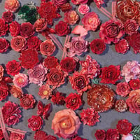 ソフト薔薇