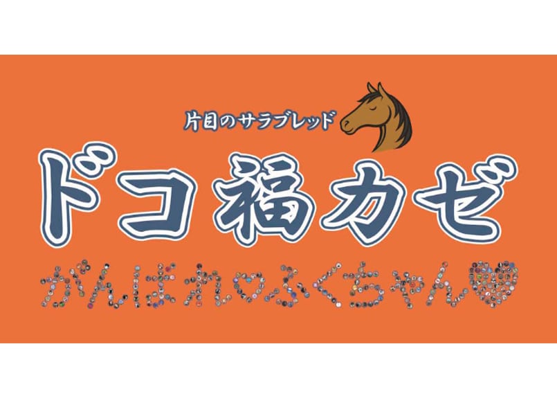 福ちゃん様　オーダー品 デビュー記念】ドコフクカゼのボールペン＆クリアファイル | 片目の